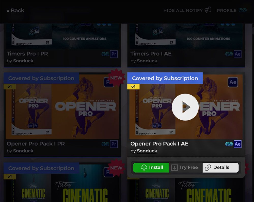 Example Subscription Store